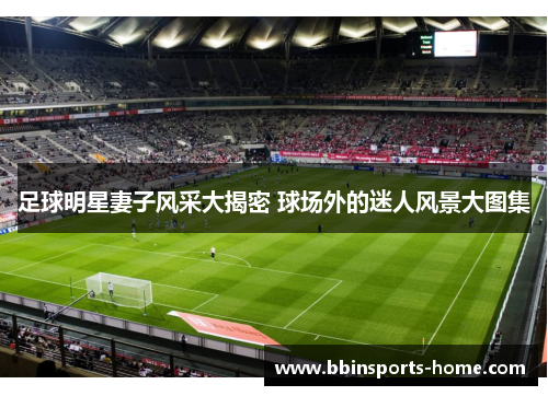 足球明星妻子风采大揭密 球场外的迷人风景大图集